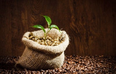 Torkade kaffebönor i en liten jutepåse